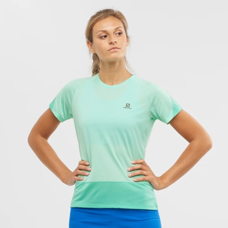 Camiseta Salomon Cross Run Curta Sleeve Feminino Turquesa | PT F79105